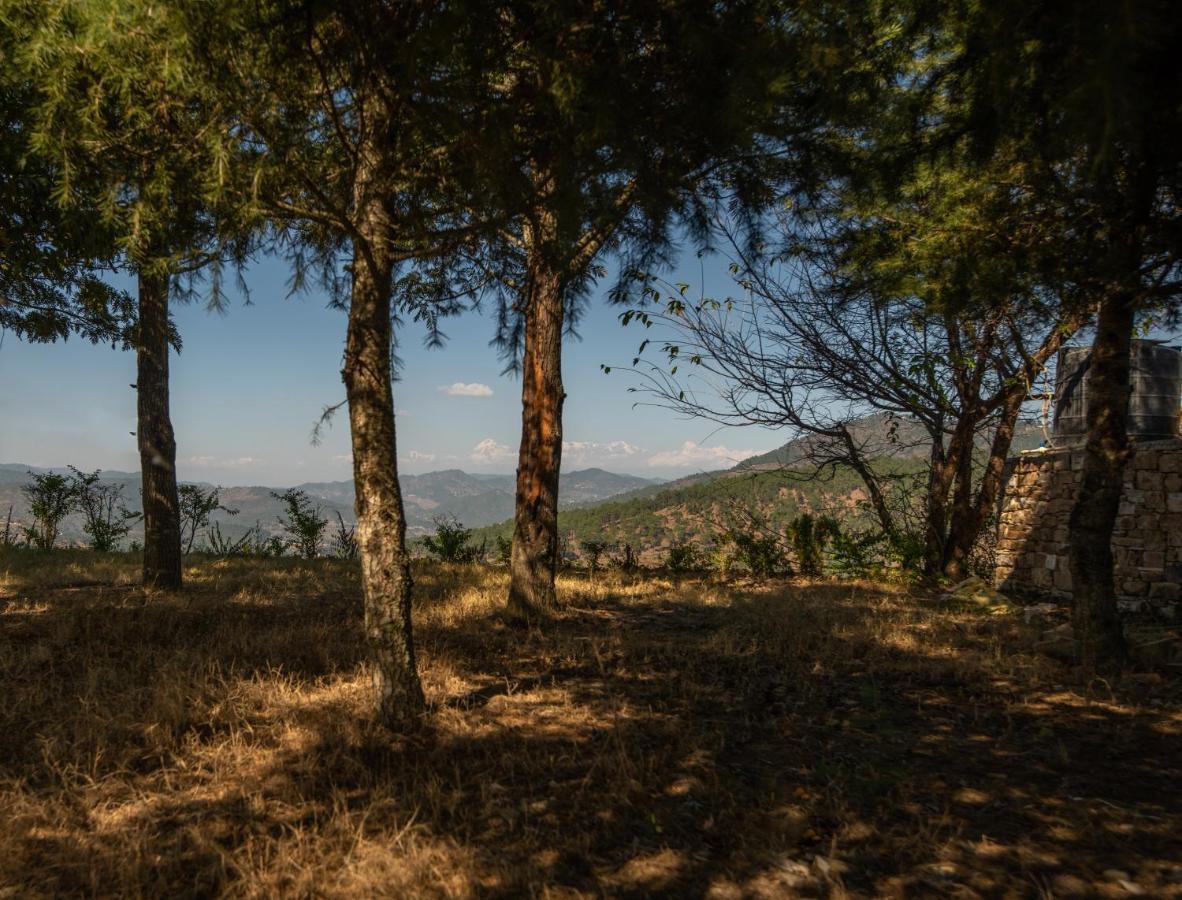Blusalzz Homes - The Himalayan Bungalow, Almora - Uttarakhand Ngoại thất bức ảnh